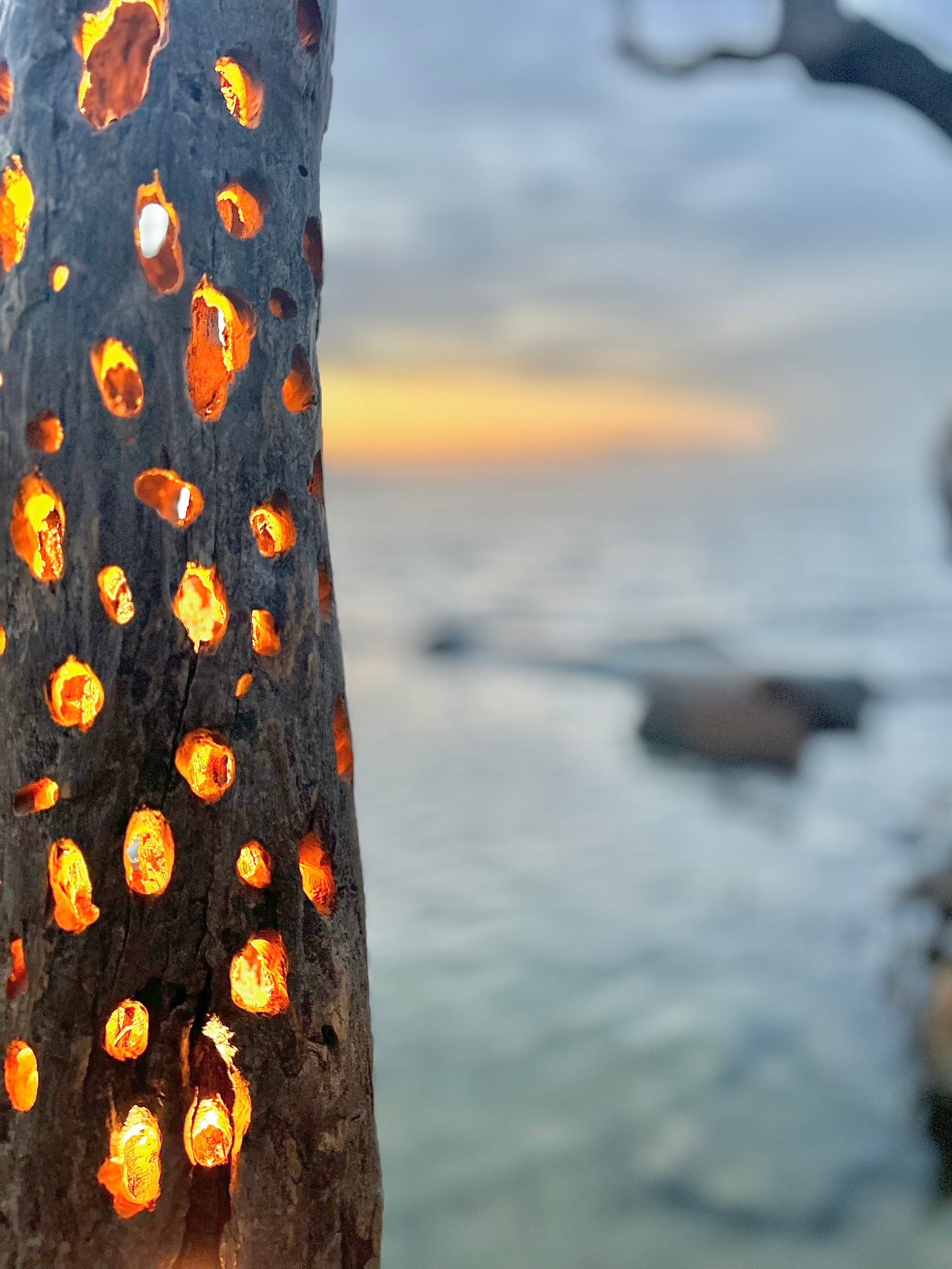 Drift Wood Floor Lamp