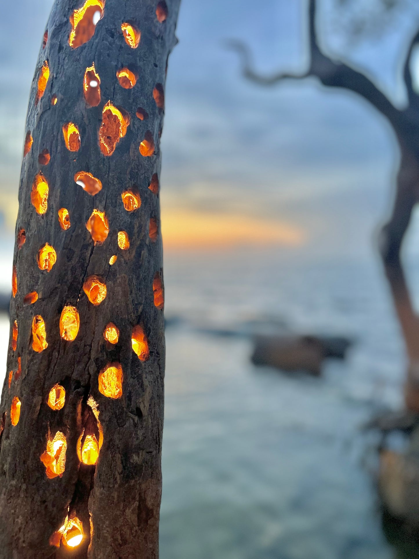 Drift Wood Floor Lamp