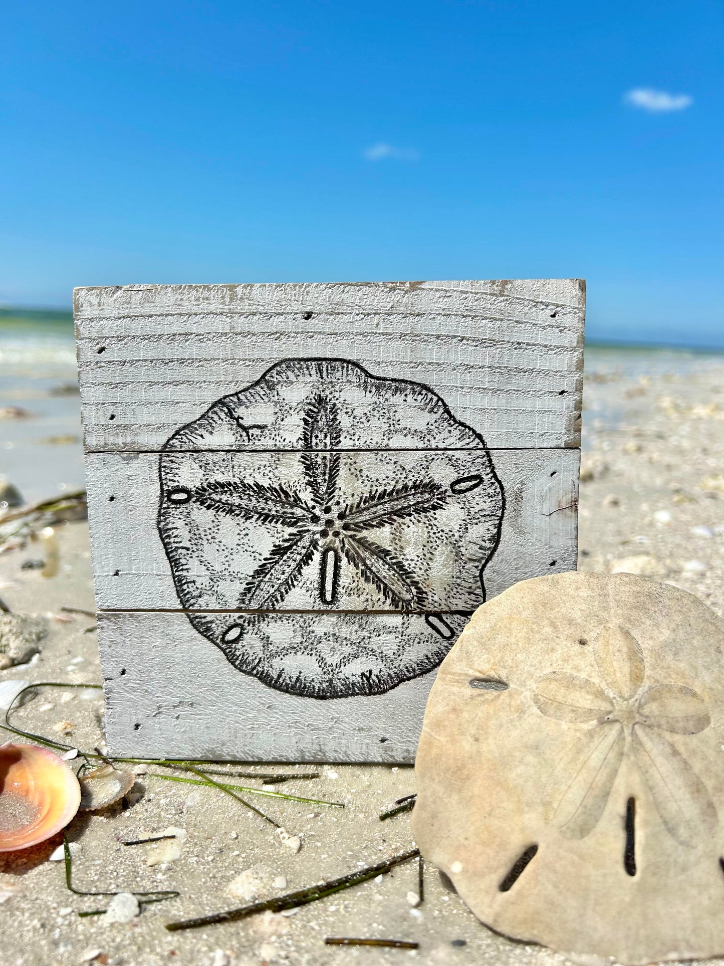 6" x 6" Wooden Sand Dollar